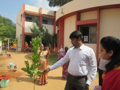 Tree Planting
