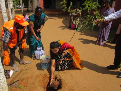 Tree Planting